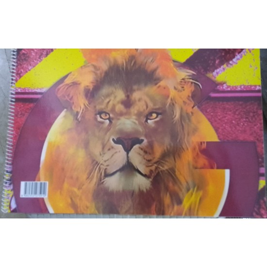  Spiralli Karton Kapak Resim Defteri 